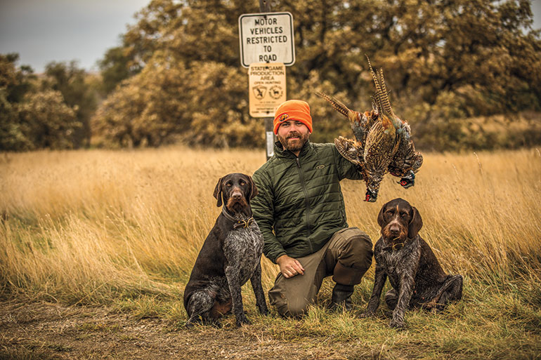 hunter with 2 dogs and rooster pheasants
