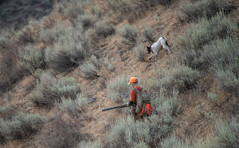 hunter and dog walking through brush