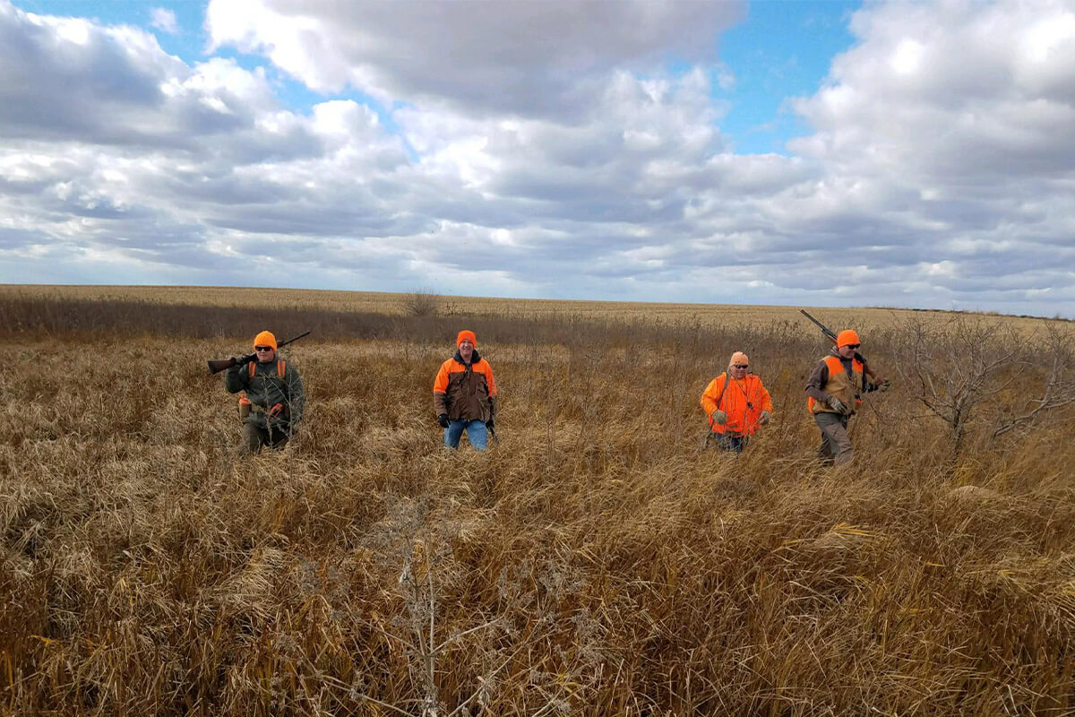 Cuatro cazadores de faisanes caminan en un campo en Iowa