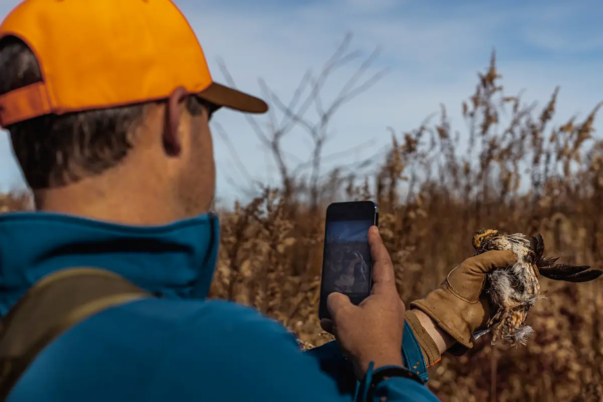 Is Social Media Ruining Bird Hunting?