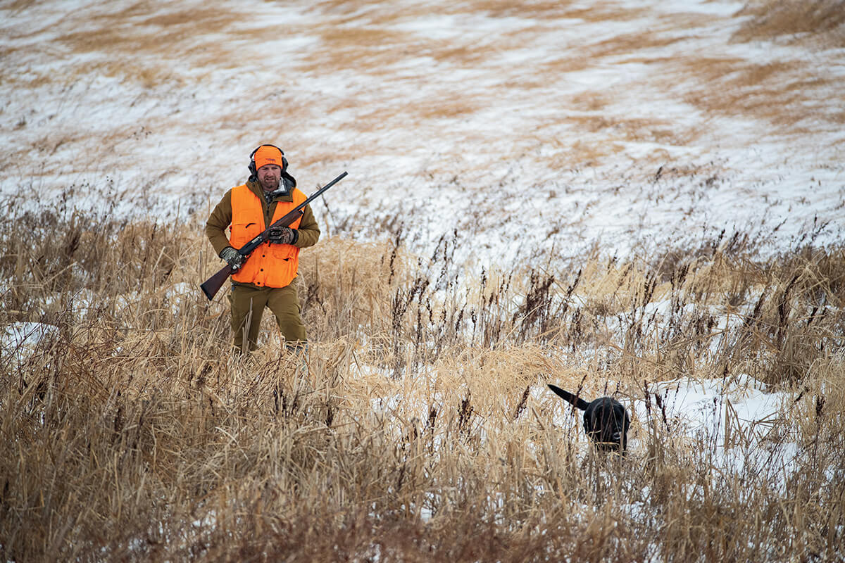 Late Season Pheasant Hunting Tactics