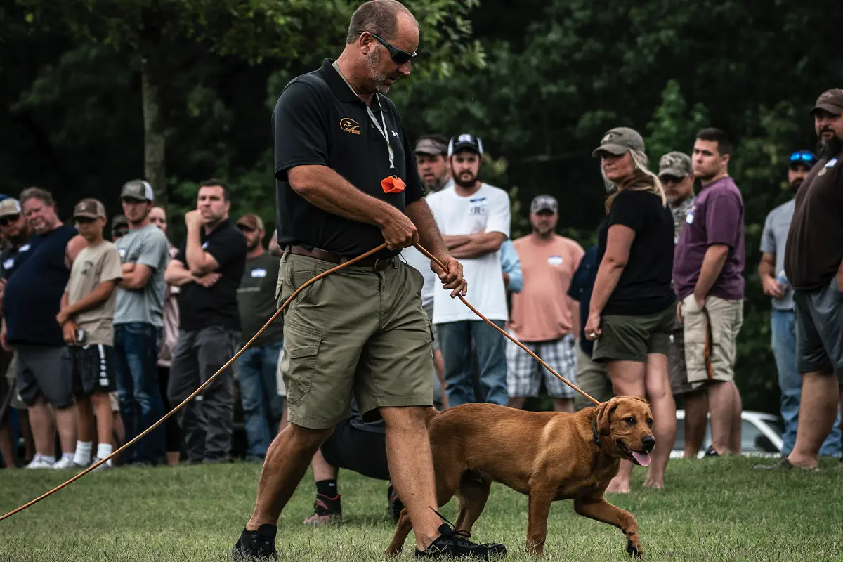 Becoming a Professional Dog Trainer - Gun Dog