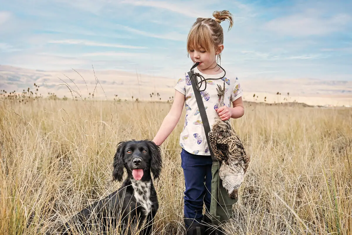 Three Simple Rules to Becoming a Better Bird Dog Trainer - Gun Dog