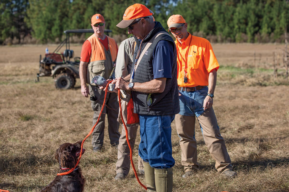 Three Simple Rules to Becoming a Better Bird Dog Trainer