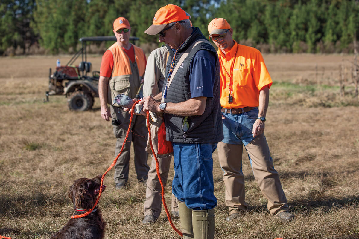 What Training Is Needed To Be A Dog Trainer