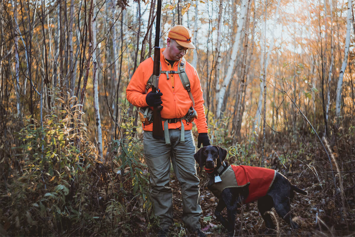 Top 5 Questions Gun Dog Owners Should be Asking for Choosing the Proper Dog Food