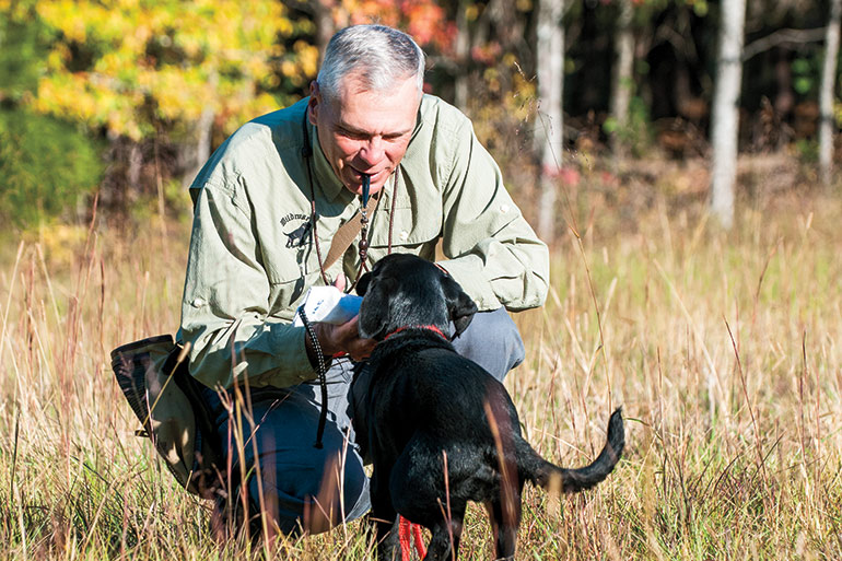 What's the Best Training Method for a Gun Dog?