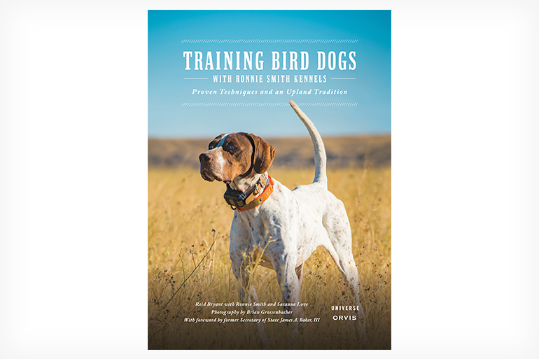 Training Bird Dogs with Ronnie Smith Kennels