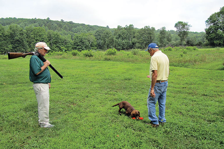 Bird Dogs: Who Is Training Whom?