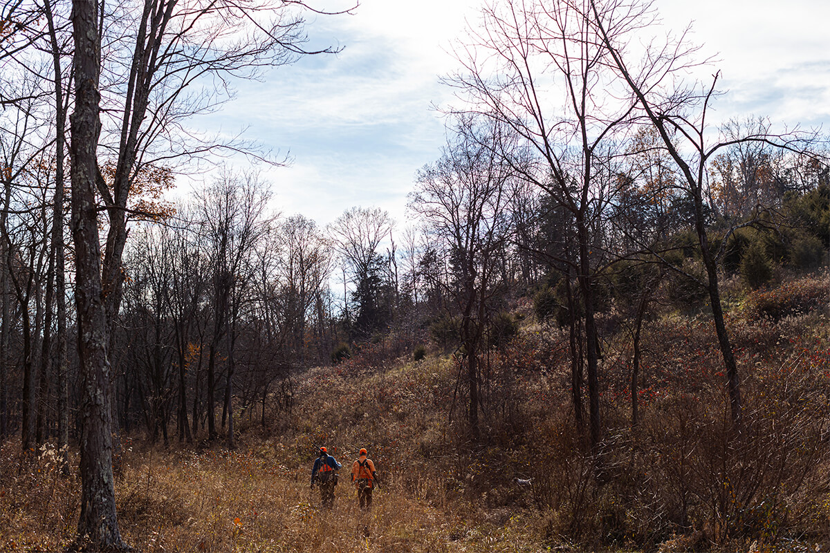 Dos cazadores de codornices caminando por los bosques de Kentucky