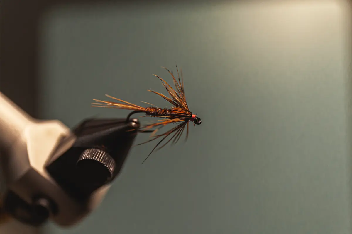 pheasant tail fly