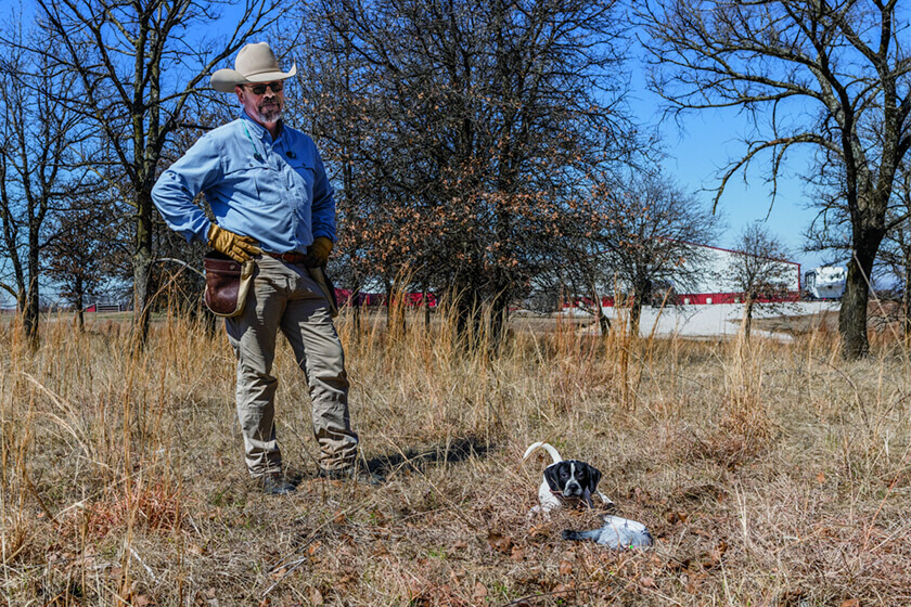 English pointer puppy with handler and pigeon