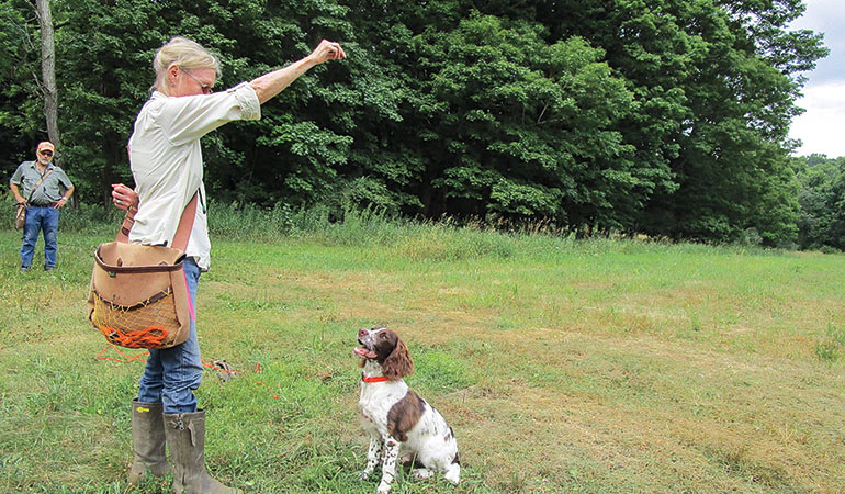 Upland clearance dog training