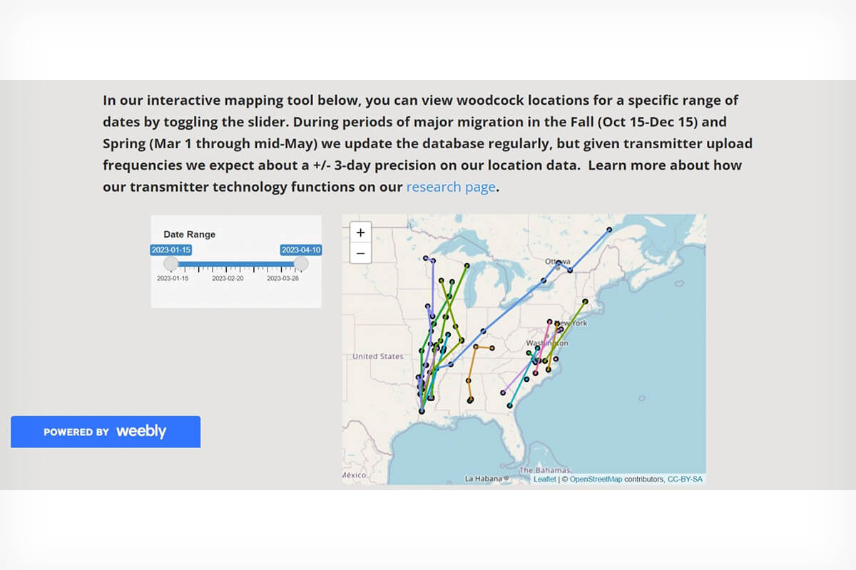 Eastern Woodcock Migration Research Cooperative - Gun Dog