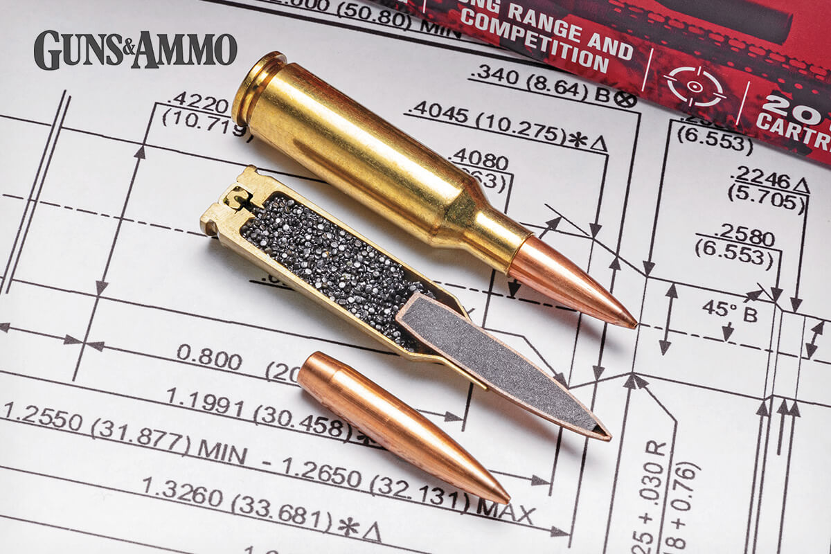 224 Valkyrie Small Precision Rifle Cartridge: Everything Yo - Guns