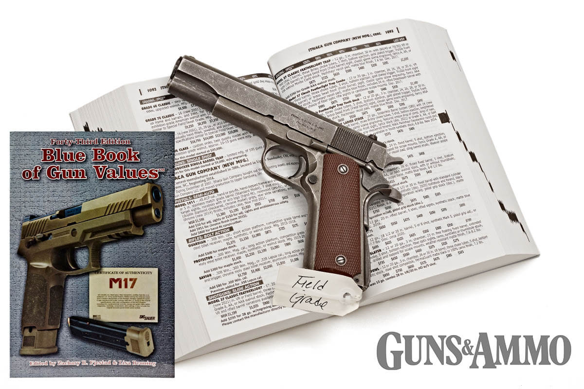 Blue Book of Gun Values, Forty-Third Edition: Experts' Choice