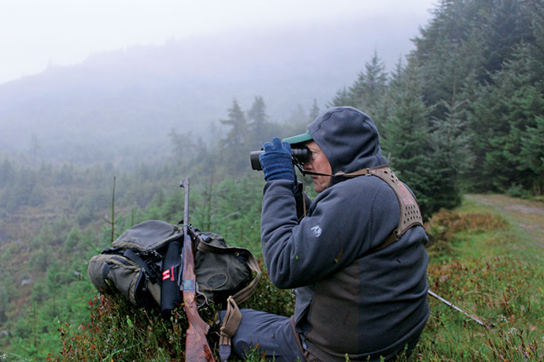 Choosing the Ideal Stalking Rifle