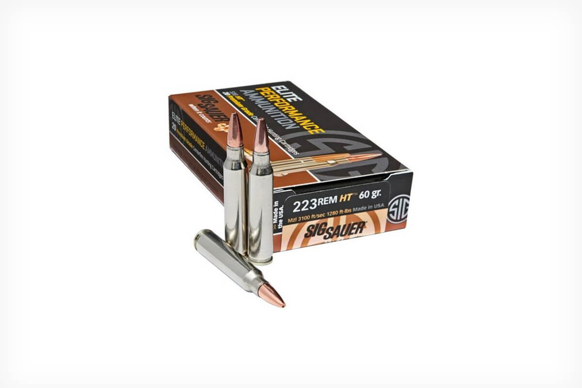 SIG Sauer Elite Hunting HT 60 gr.