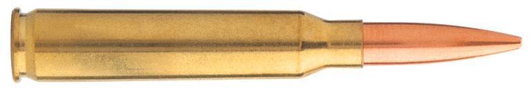 Top-6-Long-Range-Competition-Cartridges-223-Rem