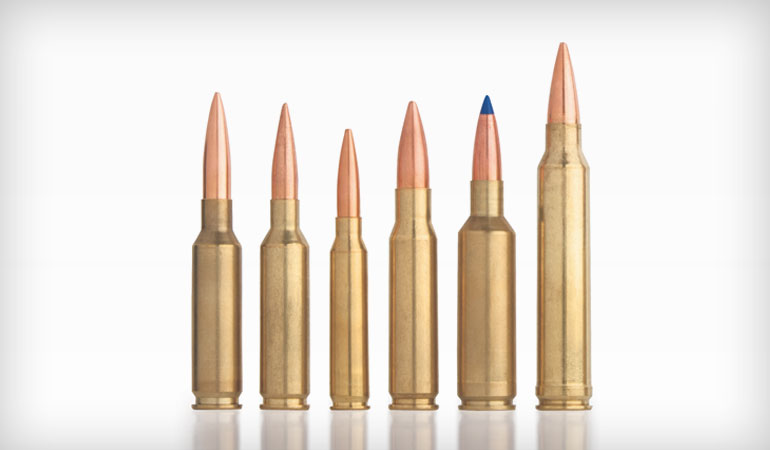Top 6 Long-Range Competition Cartridges