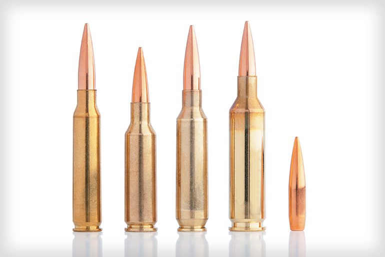 Varmint & Predator Ammunition