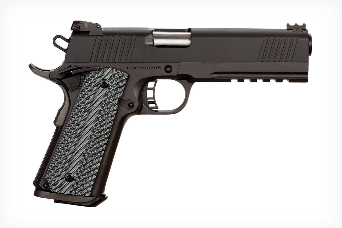 The 8 Best Bear-Defense Handguns