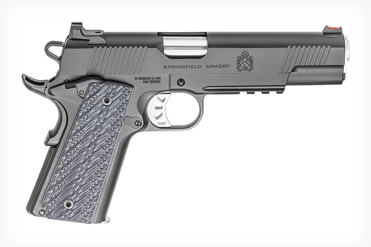 The 8 Best Bear-Defense Handguns