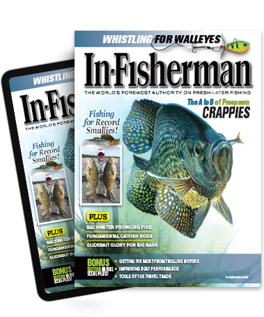 Swimbaits for White Bass - In-Fisherman