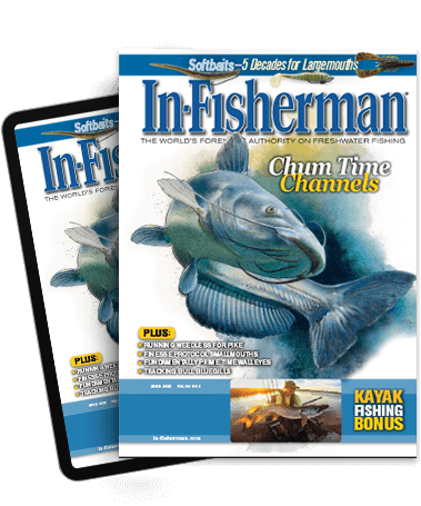 Subscribe to the Magazine
