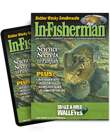 Subscribe to the Magazine