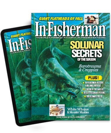 Subscribe to the Magazine