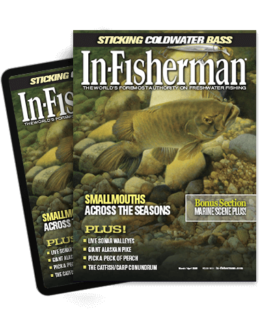 Subscribe to the Magazine