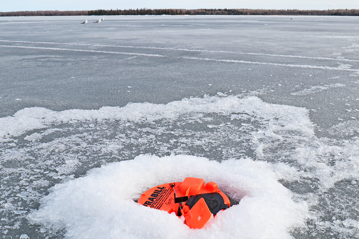 Performance Tip-Up Ice Braid