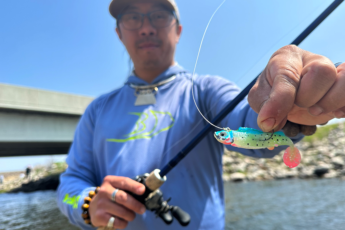 White Bass Over Walleyes? - In-Fisherman