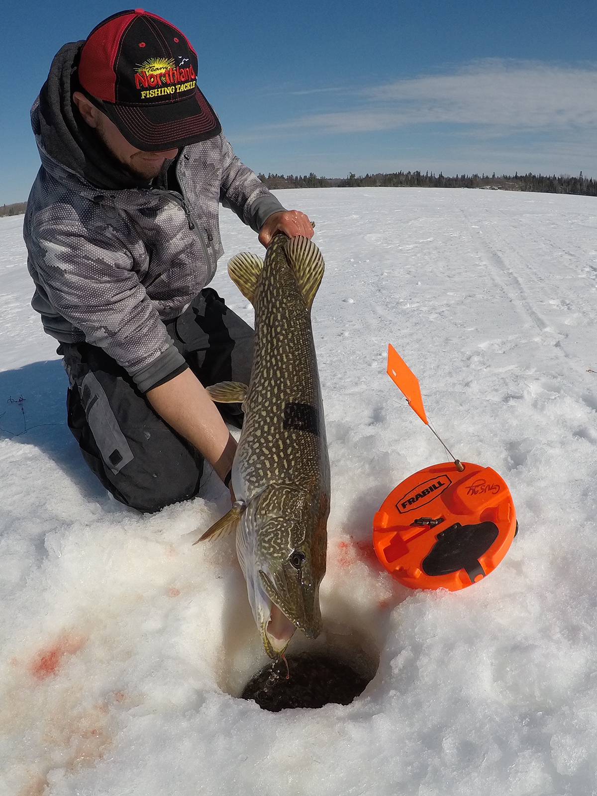 Tip-up with flag while ice fishing for Northern Pike on a lake in