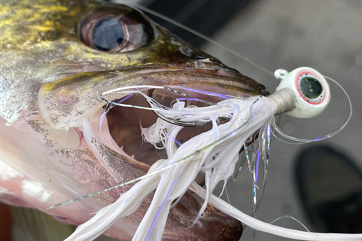 JIGGING FOR SMELT, Catch and Clean 