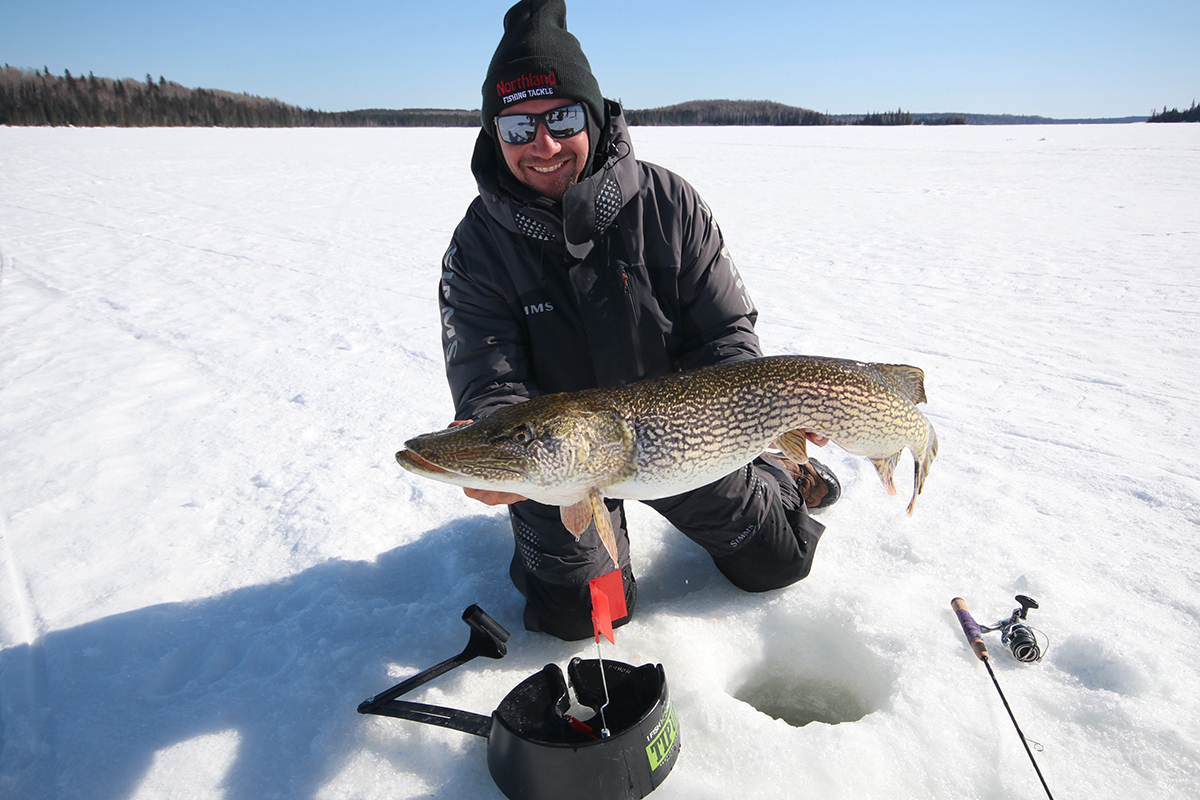 ice fishing tip-up pike bait