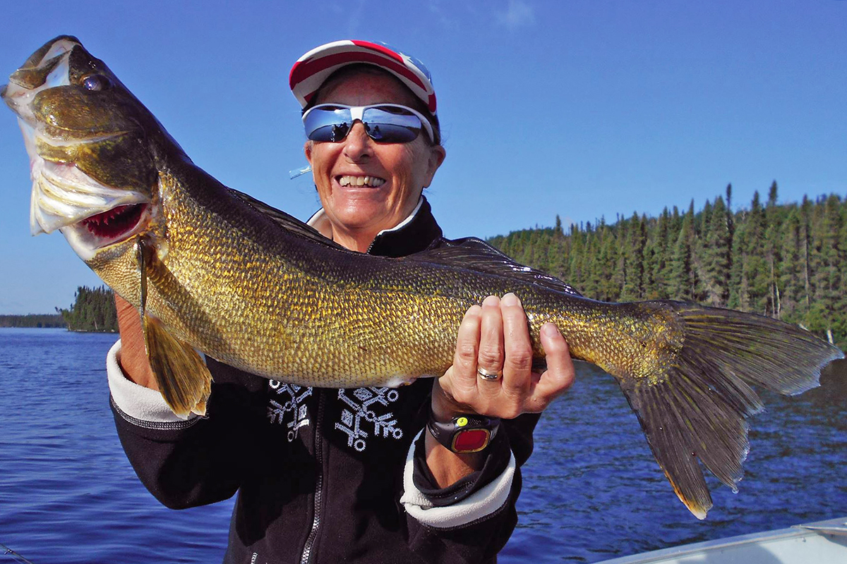 Walleye caught at Laurie River Lodge