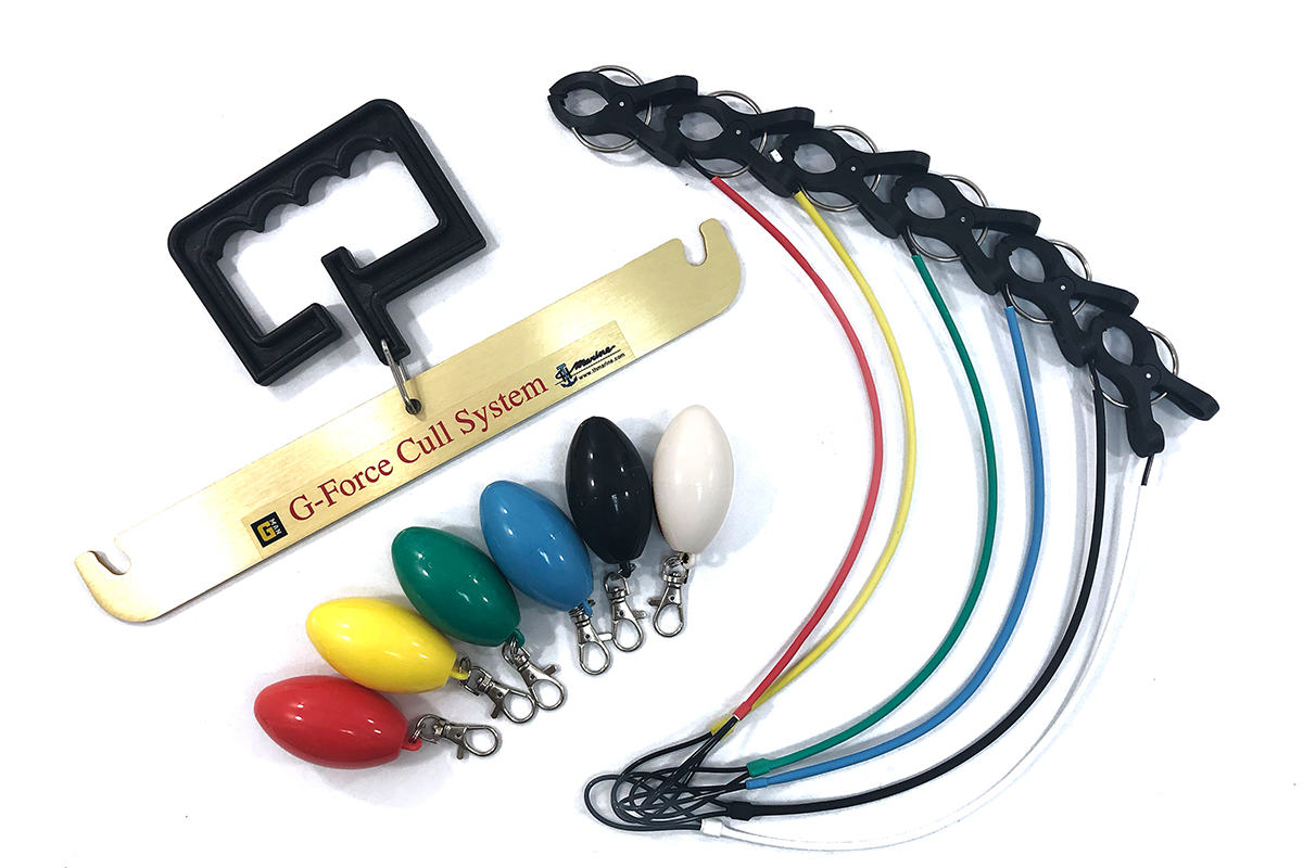 The Next BIG thing in Fishing-GIFT - T-H Marine Supplies