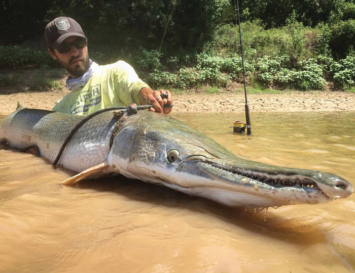 Catching, cleaning and eating huge gar - Mississippi Sportsman