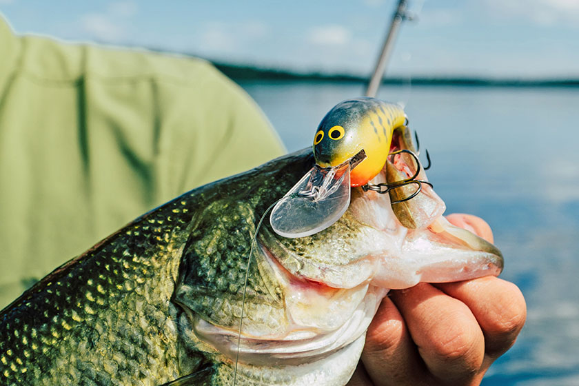 Bagley Introduces 10 Captivating Colors to Crankbait Lines - In-Fisherman