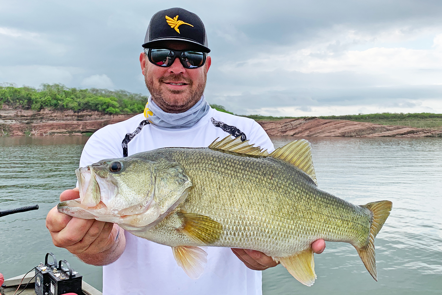 Largemouth Bass Length To Weight Conversion Chart - In-Fisherman