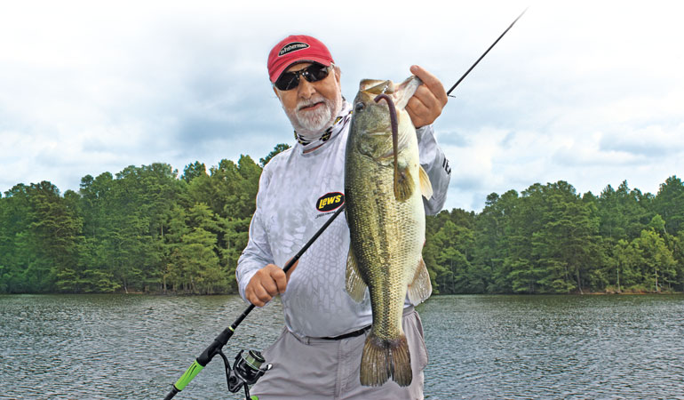 Bass Rigs You Need to Be Fishing