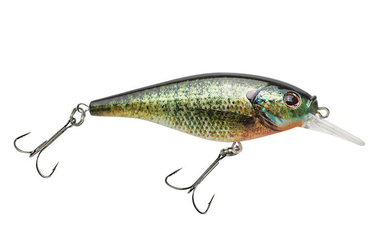 Fishing Gear: Berkley Flicker Shad NEW Colors