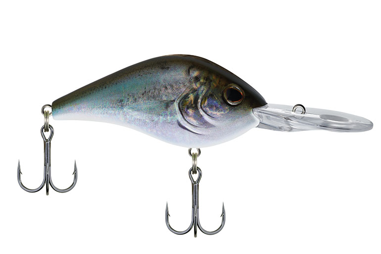 Fishing Gear: Berkley Dredger New Colors