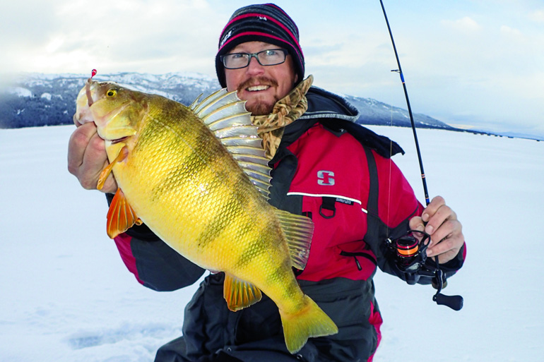 The Best Lures For Lake Simcoe Jumbo Perch (Ice Fishing) 