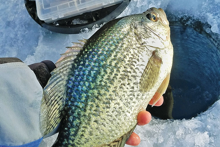 How to Catch Panfish Under Ice