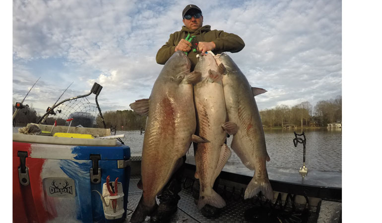 //content.osgnetworks.tv/infisherman/content/photos/Catching-Big-Blue-Catfish-on-Planer-Boards.jpg