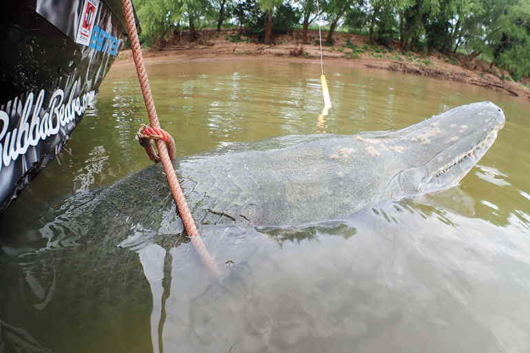 MONSTER Alligator GAR fishing in TEXAS! INSANE FIGHT! 