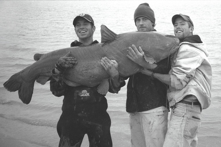 //content.osgnetworks.tv/infisherman/content/photos/CodyMullenix-Blue-Catfish.jpg
